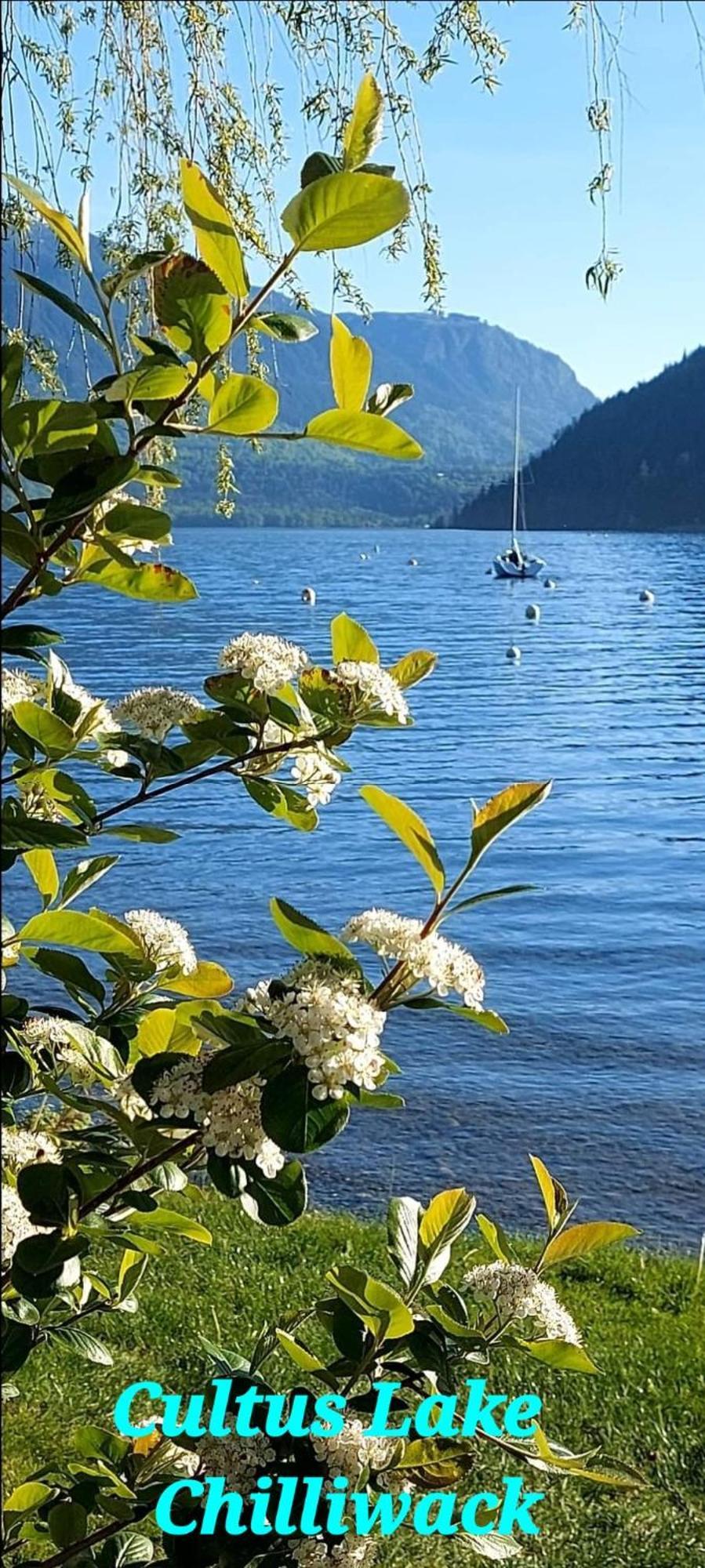 Private 2 Bedrooms Suite Near Hwy 1, Cultus Lake, Heritage Park, Fishing, Coliseum 칠리왝 객실 사진
