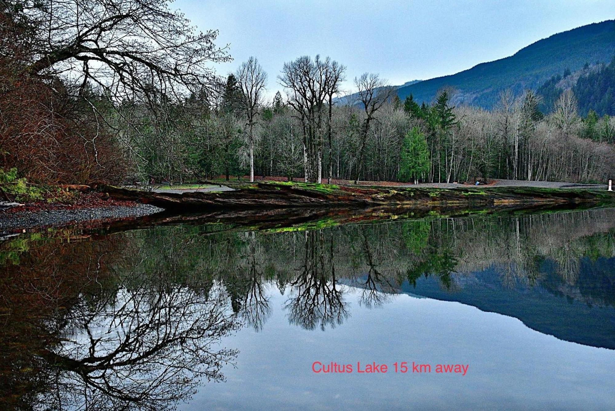 Private 2 Bedrooms Suite Near Hwy 1, Cultus Lake, Heritage Park, Fishing, Coliseum 칠리왝 외부 사진